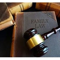 Портфолио Darlene Levine