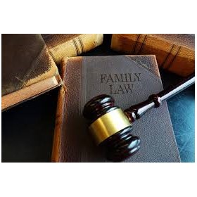 San Antonio Family Law: Darlene Levine